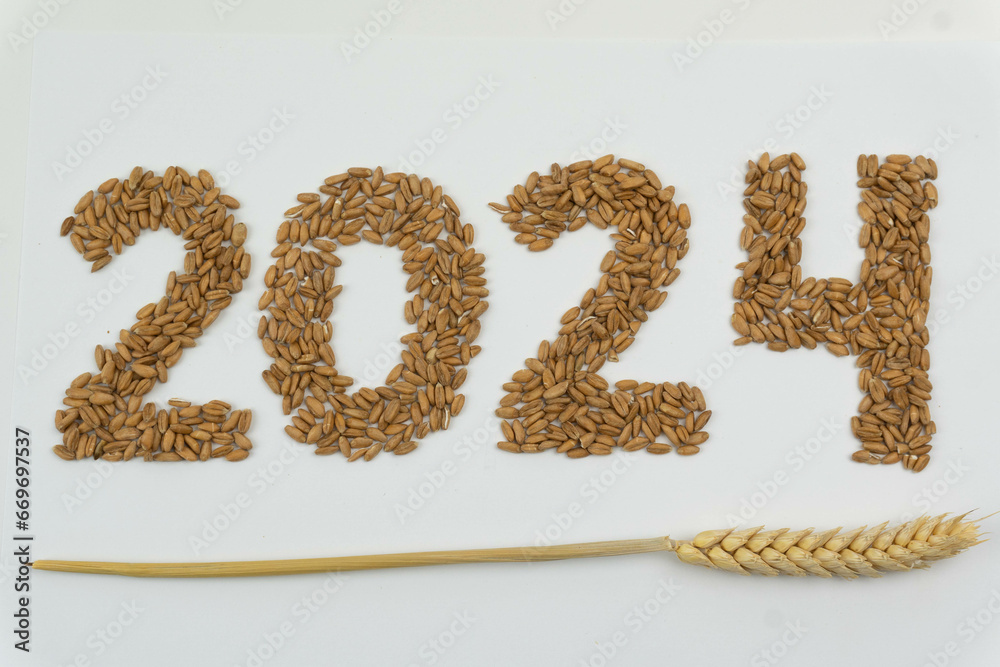 Year 2024 made with wheat grain. Wheat head. White background. Diagonal. Year 2024 made with wheat grain. Wheat head. White background. Diagonal.