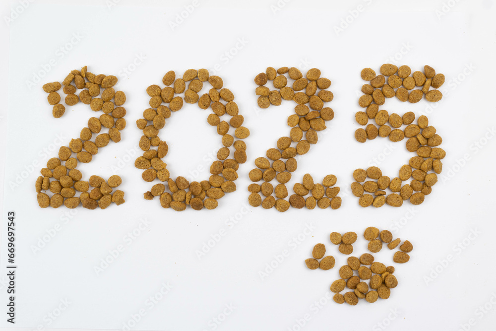 Year 2025 and cute paw made with granule dog food on white background Year 2025 and cute paw made with granule dog food on white background