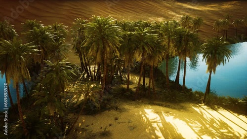 Oasis in hot Sahara Desert photo
