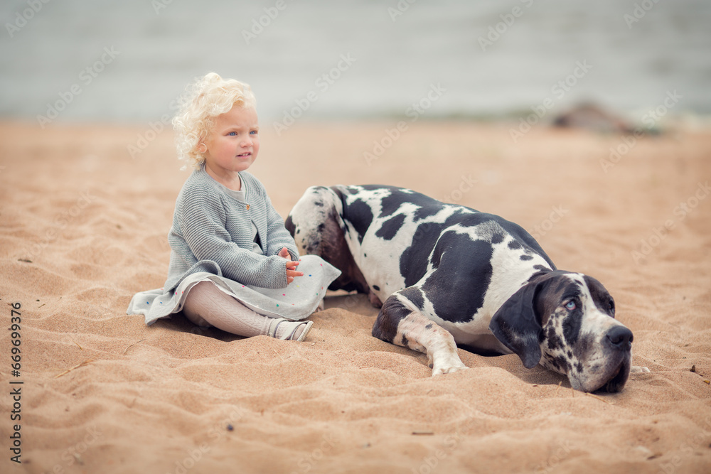 Little blonde girl with great dane on the sand beach in summer Little blonde girl with great dane on the sand beach in summer