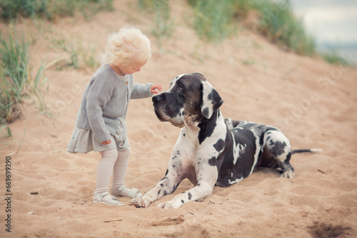 Little blonde girl with great dane on the sand beach in summer 