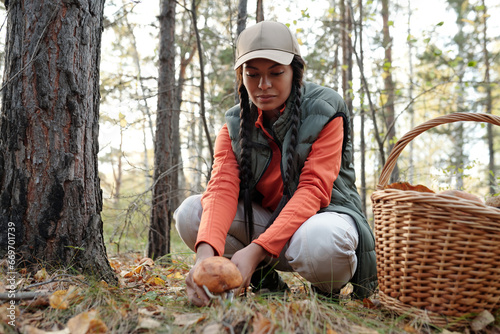 Young African American female backpacker found orange cap boletus in autumn forest and cutting it with knife while sitting on squats