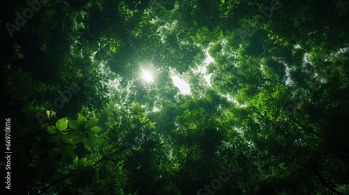 Abstract Rainforest Canopy texture background