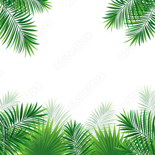 rainforest plants border frame. Tropical vector illustration with beautiful amazon plants. Coconut palms leaves on a white background. good choice for summer, travel designs, posters and wallpapers