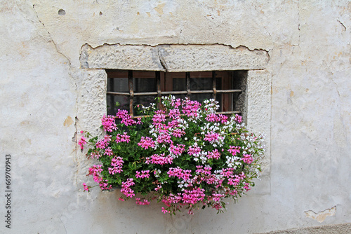 finestrella fiorita in una casa antica di Vigo di Fassa photo