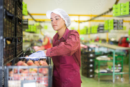 Young woman in uniform carrying box full of peaches in warehouse photo