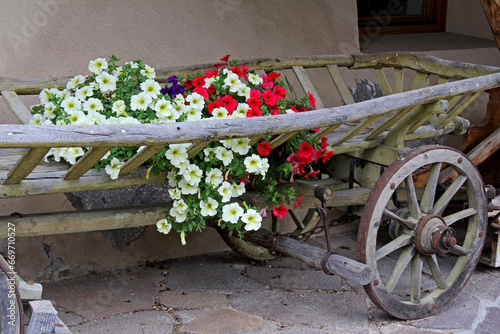 vecchio carro da fieno con fiori a Vogo di Fassa photo