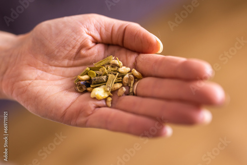 Dry food for rodents on hand, rabbit food