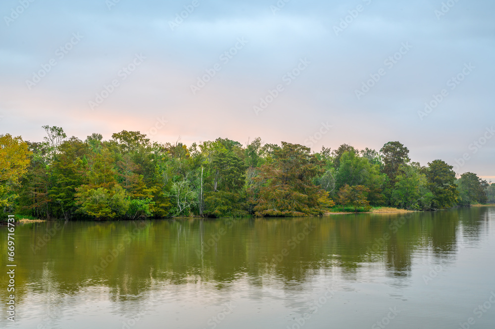 Trees on the Shoreline of Lake Fausse Pointe in the Atchafalaya River Basin at Sunrise Trees on the Shoreline of Lake Fausse Pointe in the Atchafalaya River Basin at Sunrise