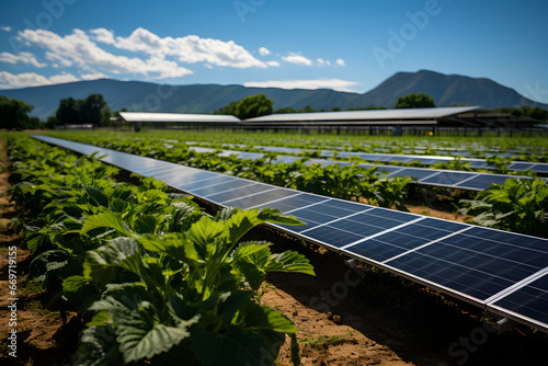 Placas solares paneles solares recibiendo luz del sol. Energía renovable solar fotovoltaica. Nueva instalación de paneles solares en el campo photo