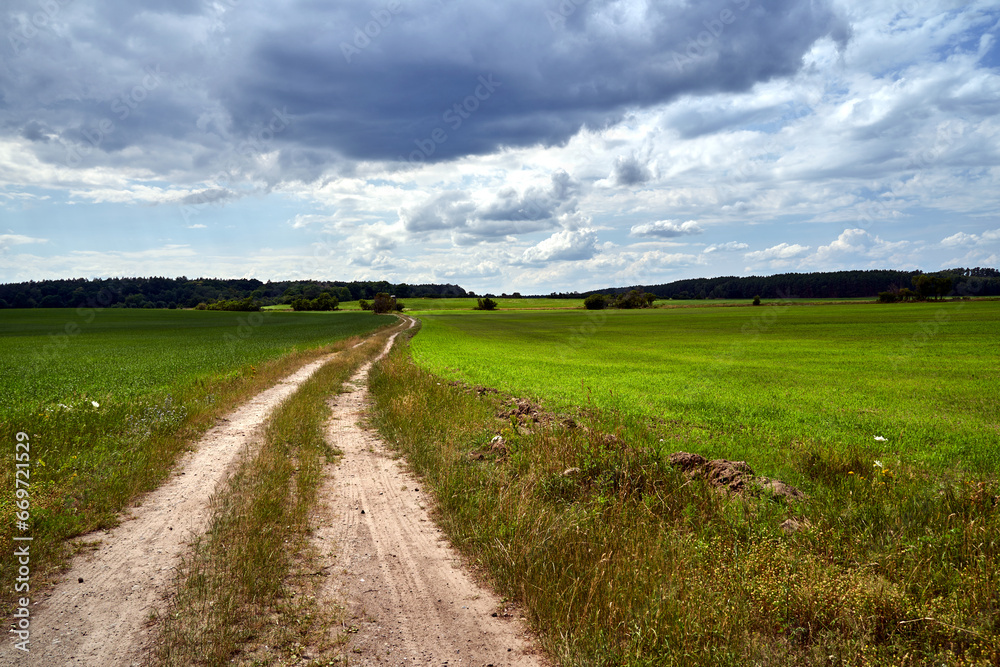 rural landscape with dirt road and blooming canola in spring rural landscape with dirt road and blooming canola in spring