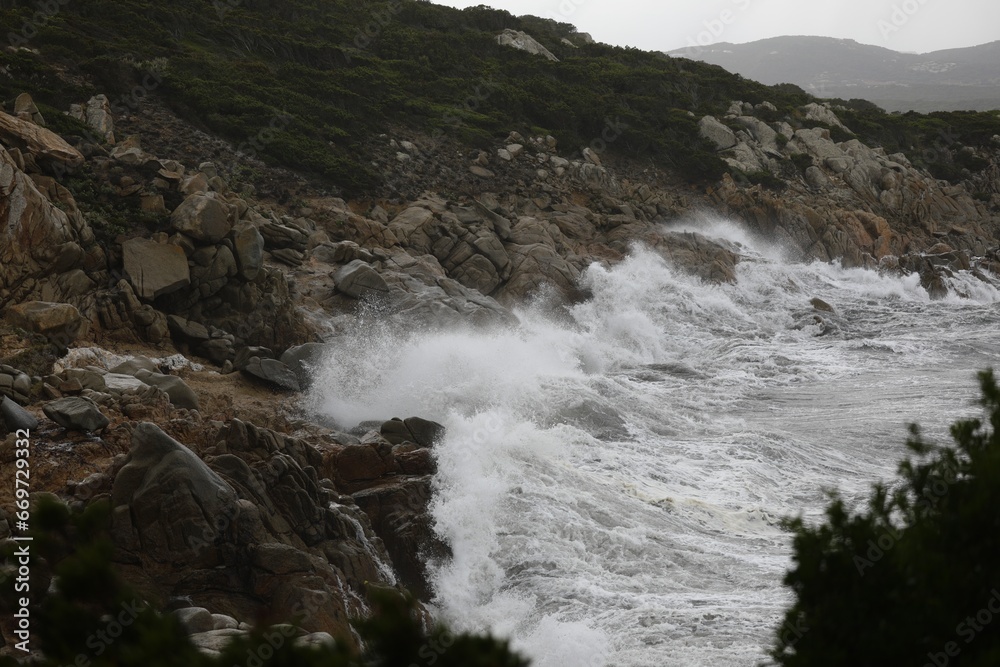 Fototapeta premium mare sugli scogli