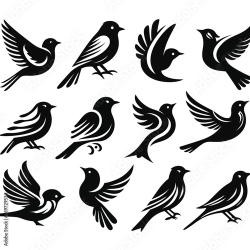 black Birds icon set on white background