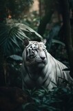 White tiger in the jungle.