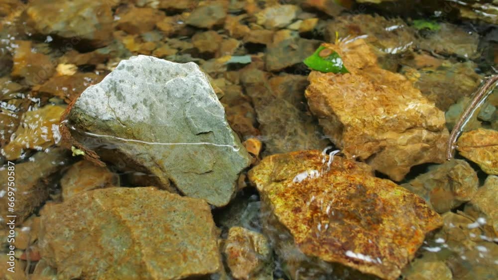 A murmuring stream in a green forest, a healing landscape A murmuring stream in a green forest, a healing landscape
