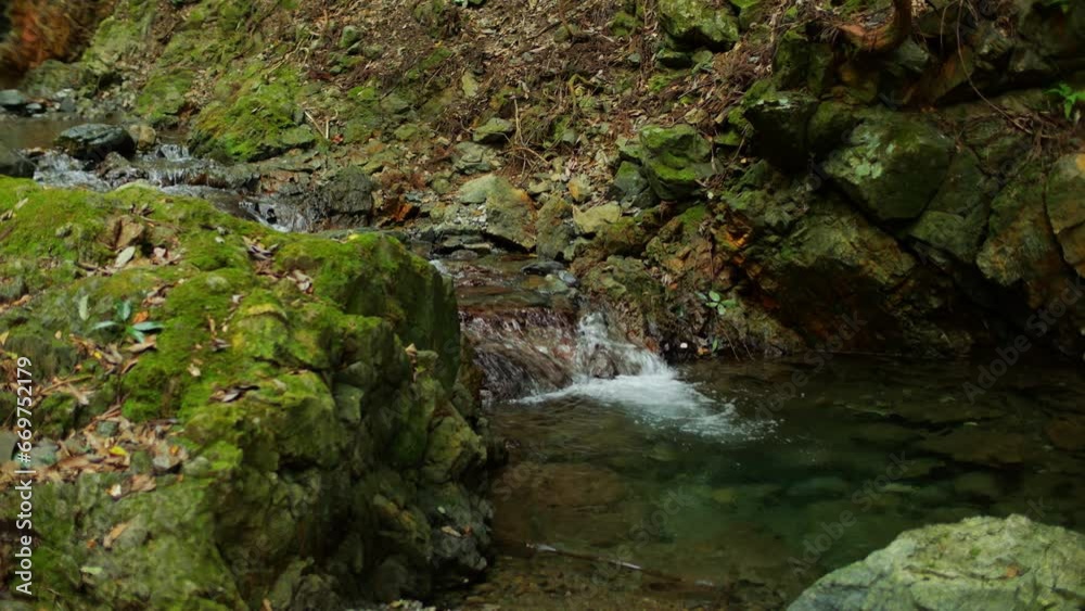 A murmuring stream in a green forest, a healing landscape A murmuring stream in a green forest, a healing landscape
