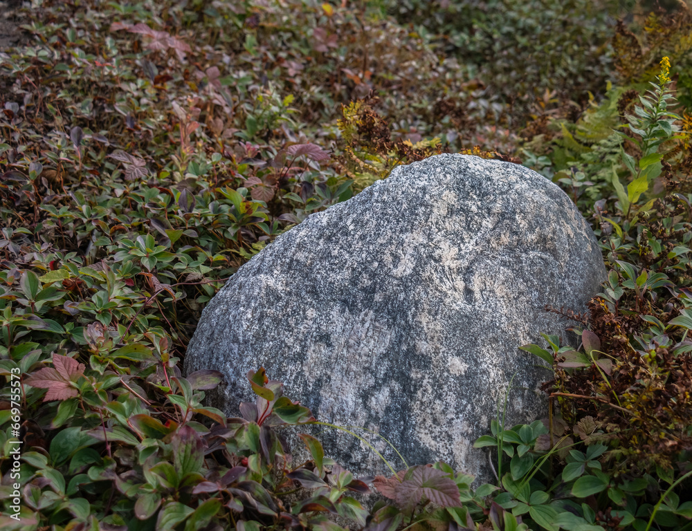 Large metamorphic rock in ground vegetation on Baker's Brook Falls trail Large metamorphic rock in ground vegetation on Baker's Brook Falls trail