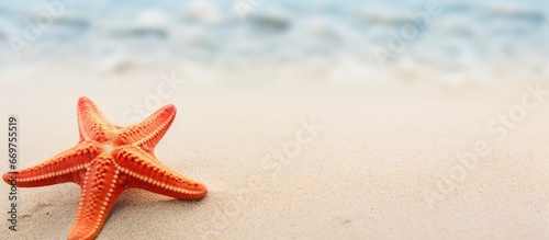 Detailed image of a star shaped sea creature