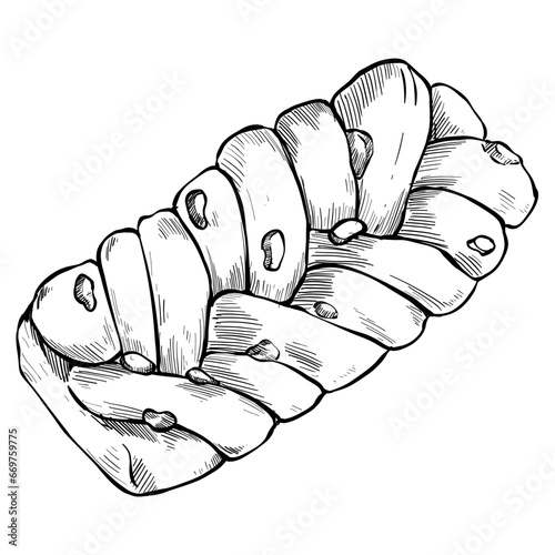 challah hand drawn