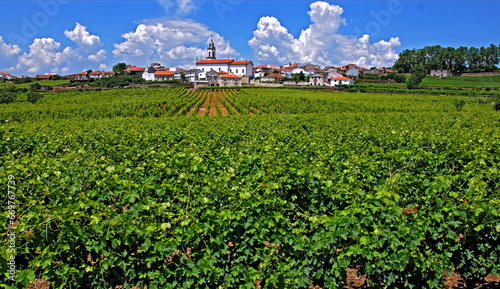 Vinicolas do Vale do Douro. Portugal. photo