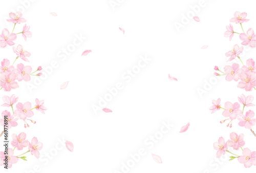 桜の花びらが舞うフレーム　水彩イラスト　ベクター photo