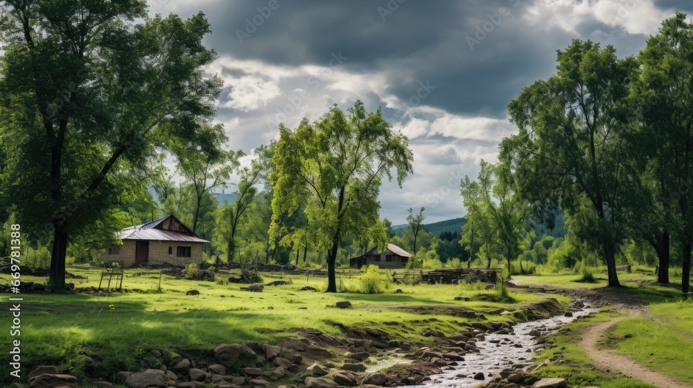 Free photo of real Village Forest at Night with Forest in the Moonlight