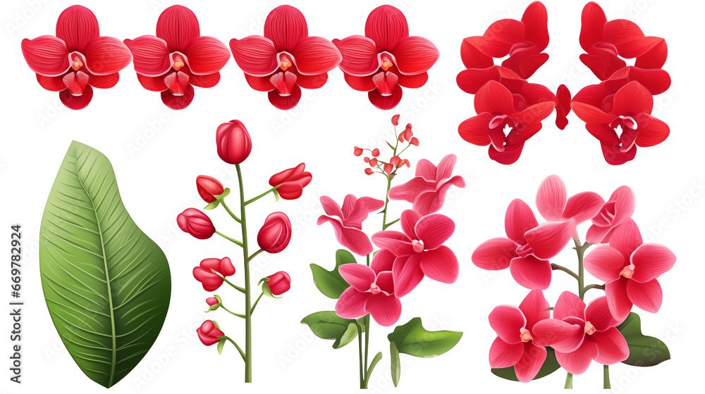 Set of red tropical orchid flower elements isolated on transparent background. Generative AI