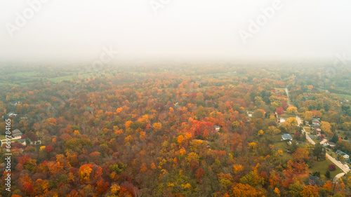 Super wide aerial shot of colorful autumn tree's changing color in a countryside neighborhood in the Midwest. 