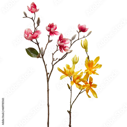 flower with branches cut out isolated transparent background