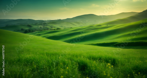 Beautiful panoramic view of green meadows  field.
