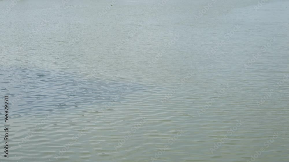 reflection of green tree in the water, closeup surface of the river on sunny day, slowmotion scene reflection of green tree in the water, closeup surface of the river on sunny day, slowmotion scene