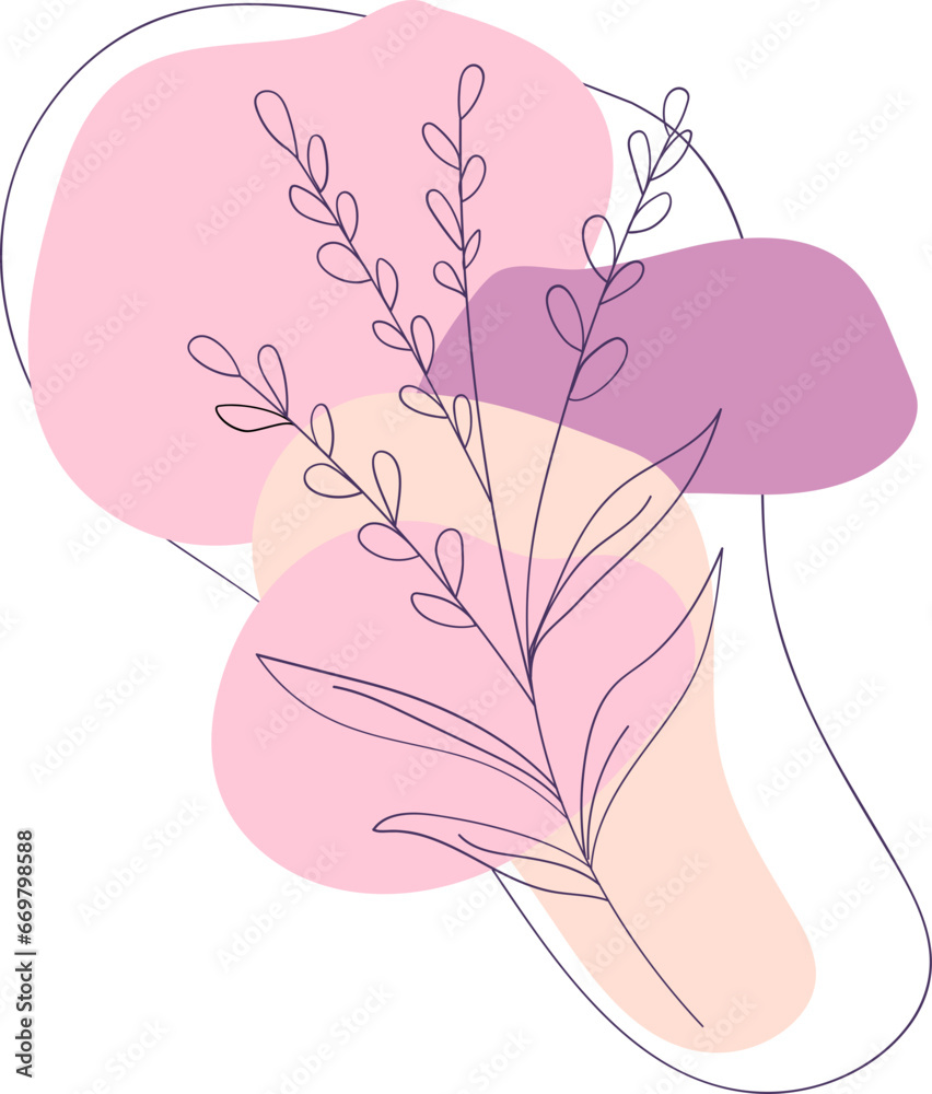 Lavender plant illustration