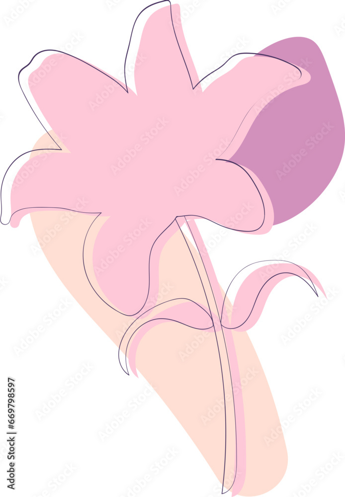 Flower plant illustration