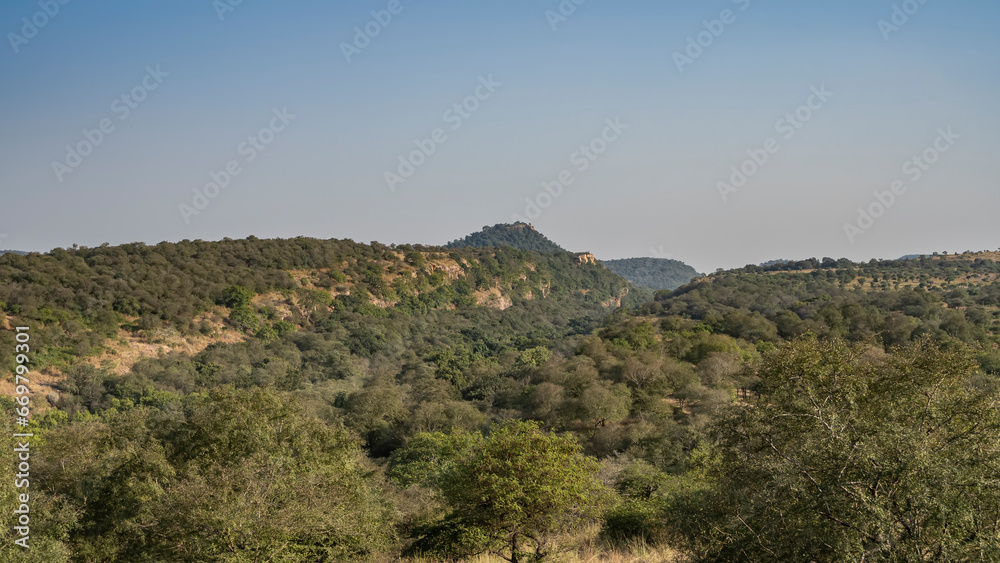 From the observation deck there is a view of the endless jungle. Thickets of green forest and picturesque mountains against a clear blue sky. Copy space. India. Ranthambore National Park.
