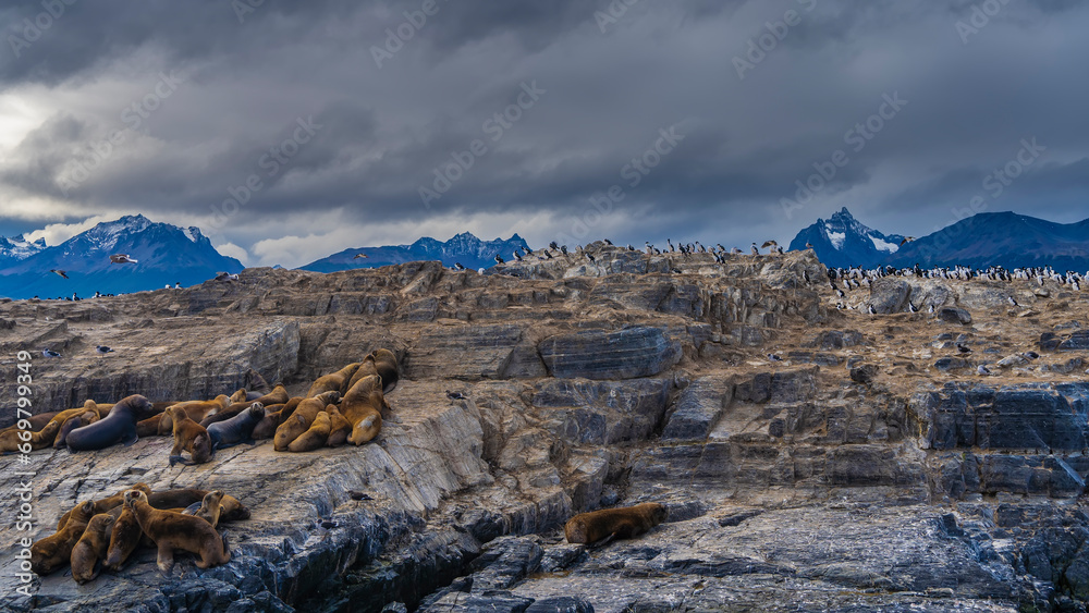 A family of sea lions lies resting on the slope of a rocky islet in the Beagle Channel. Cormorants sit on cliffs, fly. A picturesque mountain range against a cloudy sky. Argentina. Isla de los lobos. 