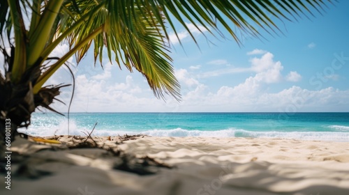 A Slice of Paradise Sandy Beach  Cloudy Sky  Palm Trees  and Ocean Waves