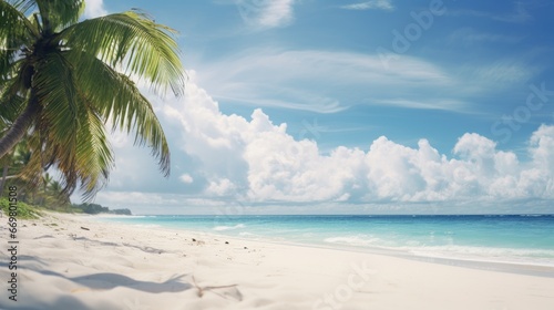 Beach Haven White Sandy Shore  Cloudy Sky  Palm Tree  and Rolling Waves