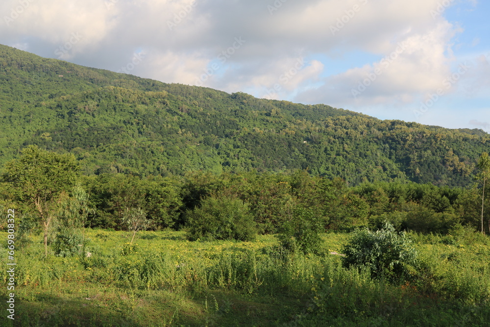 Beautiful and fresh natural scenery Beautiful and fresh natural scenery