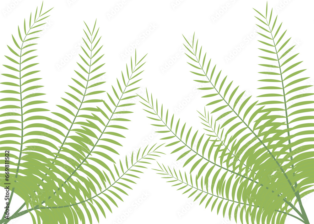 green palm leaf isolated on white, silhouette of  palm tree on white background vector art,  black color, tropical leaves plant isolated icon vector illustration design  vector illustration design