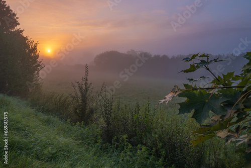 Atmospheric field landscape with trees at sunrise  fog glows orange in Lower Saxony  Germany  Europe