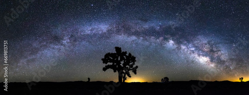 Milky Way Galaxy Arch Over Joshua Tree - Panorama  photo