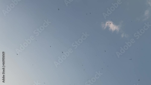 Dragonflies flying freely against the sky. Upward view photo