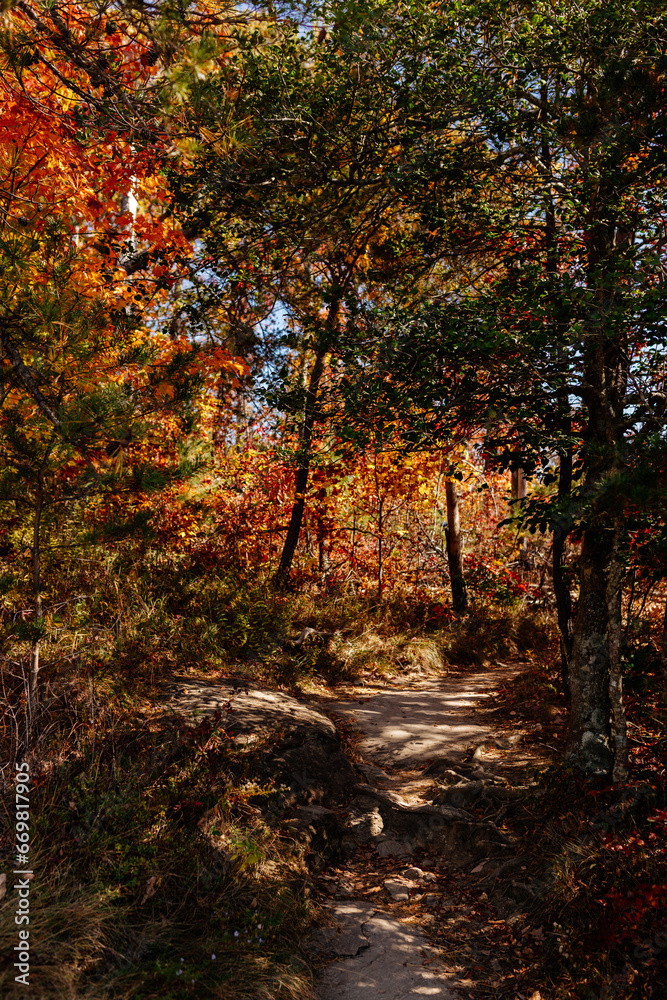 Beautiful autumn mountain landscape on sunny day. Mountains covered with trees in autumn with red, orange leaves. Autumn in the forest. Table Rock, Great Smokey Mountain, SC, USA