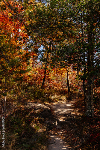Beautiful autumn mountain landscape on sunny day. Mountains covered with trees in autumn with red, orange leaves. Autumn in the forest. Table Rock, Great Smokey Mountain, SC, USA © Liudmila