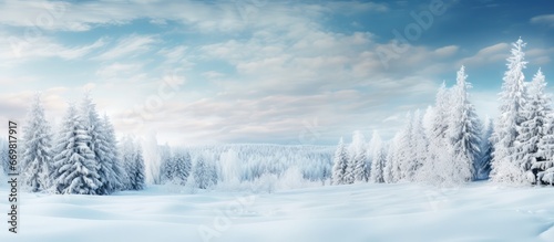 snowy forest in winter landscape photo
