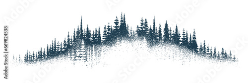 The forest in the fog, imitation of a pencil drawing, vector sketch, isolated on a white background