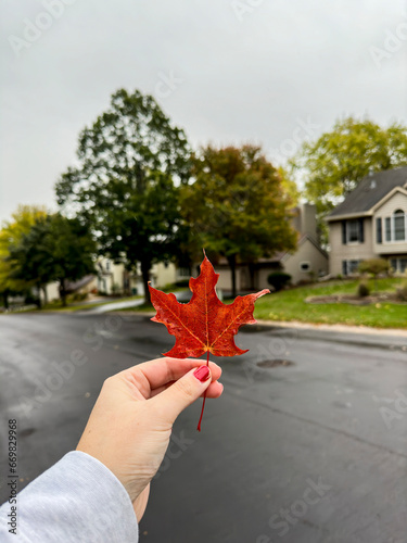 Red Leaf in White Woman's Hand Being Held Up on Gloomy Afternoon photo