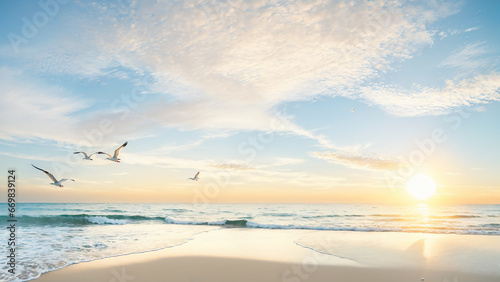 Seagulls flying over the beach at sunset. Panorama