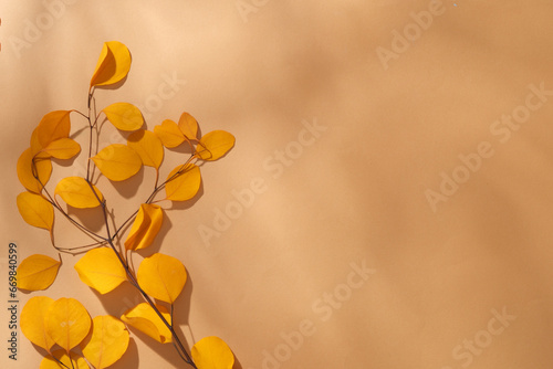 A dry branch with yellow leaves is placed in the left corner of the frame. The space on the right corner is used to insert images, designs, and product advertisements. Warm autumn theme. © Tuan  Nguyen 