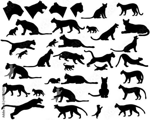 Fototapeta Naklejka Na Ścianę i Meble -  Collection of silhouettes of cougars also named pumas or mountain lions and its cubs